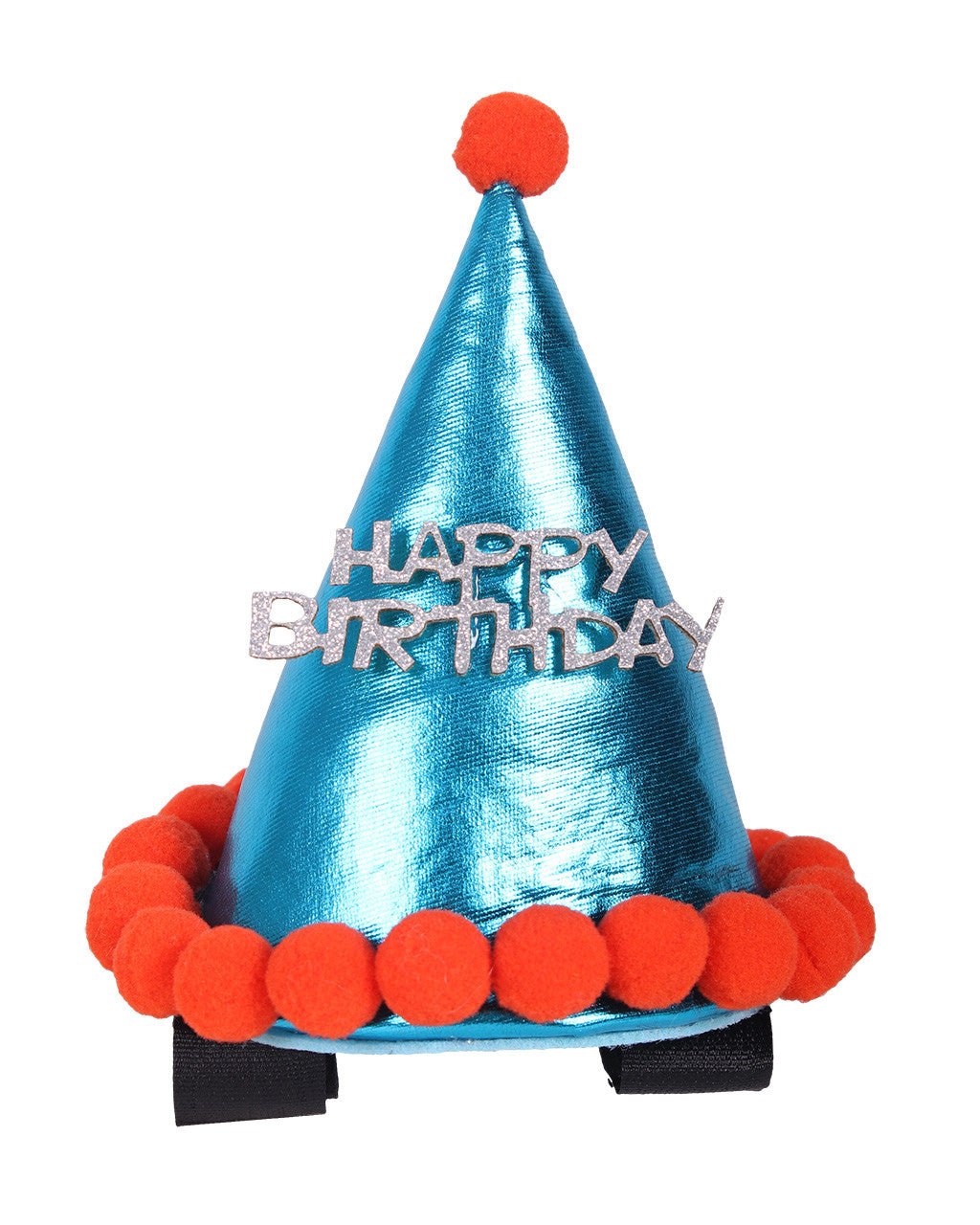 Birthday hat horse