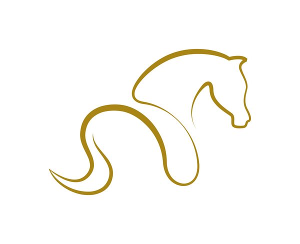 Shetlandslycka - Always equine